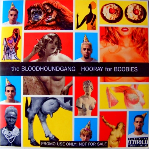 The Bloodhound Gang - Hooray For Boobies (Promo). 