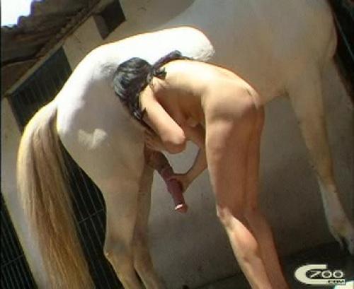 HORSE Sex ' 2015 - Horse FUCK Girls - Live Links !!! Page 10