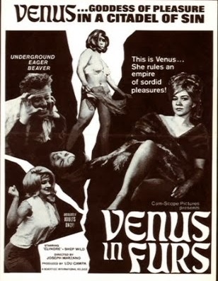 Venus in Furs / Венера в мехах
